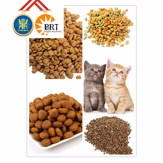 Cina fabbrica animale domestico cane gatto galleggiante mangime per pesci macchina per la produzione di pellet snack lavorazione degli alimenti produzione di linea di estrusione