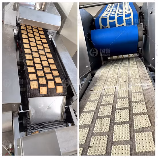Produttore cinese di macchine per biscotti morbidi e duri